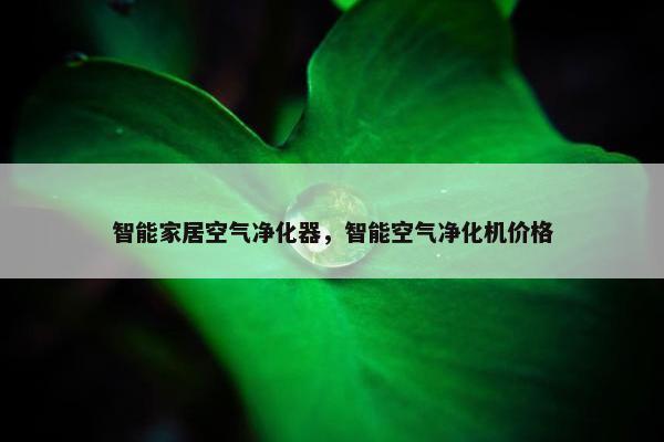 智能家居空气净化器，智能空气净化机价格