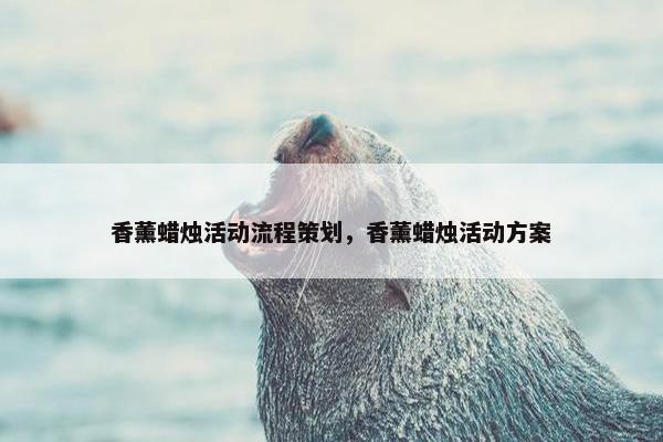 香薰蜡烛活动流程策划，香薰蜡烛活动方案