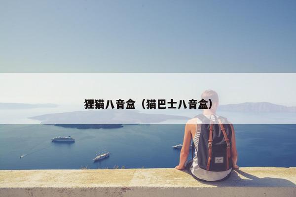 狸猫八音盒（猫巴士八音盒）