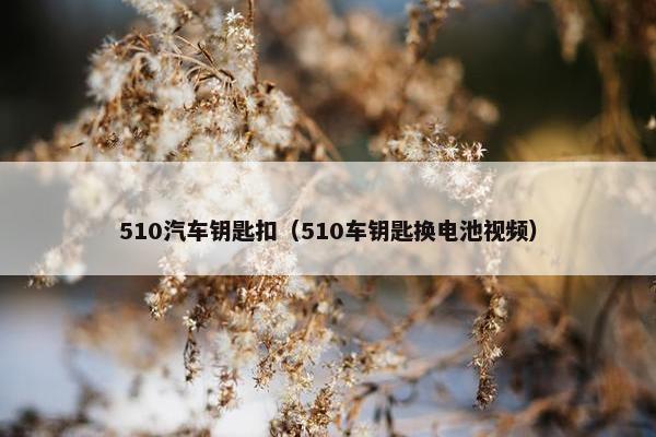 510汽车钥匙扣(510车钥匙换电池视频) 510汽车钥匙扣(510车钥匙换电池视频)
