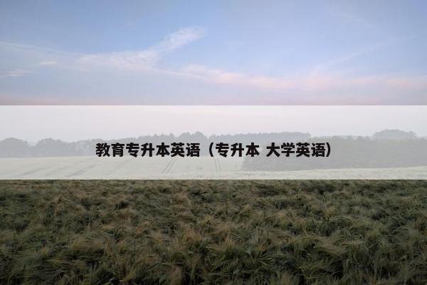 教育专升本英语（专升本 大学英语）