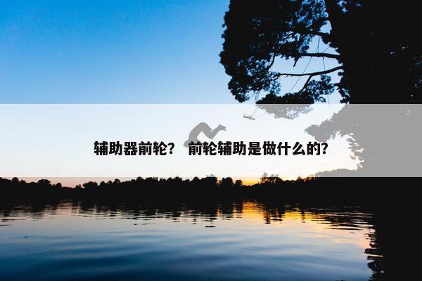 辅助器前轮？ 前轮辅助是做什么的？