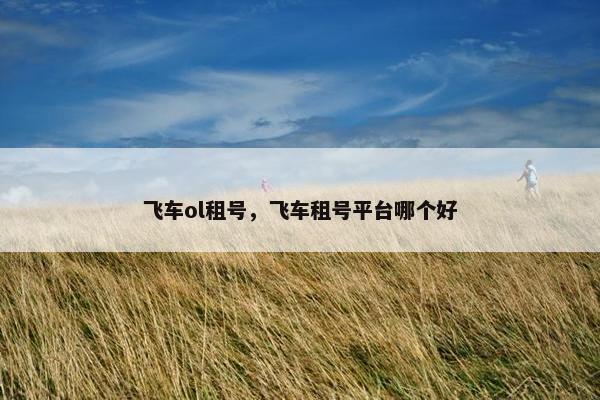 飞车ol租号，飞车租号平台哪个好