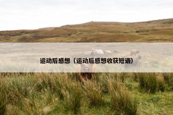 运动后感想（运动后感想收获短语）