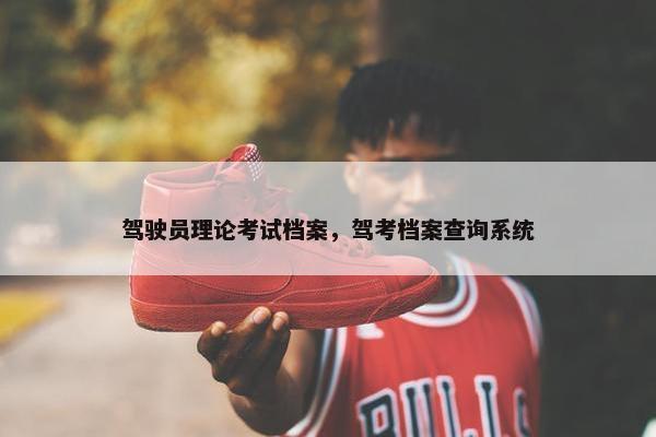 驾驶员理论考试档案，驾考档案查询系统