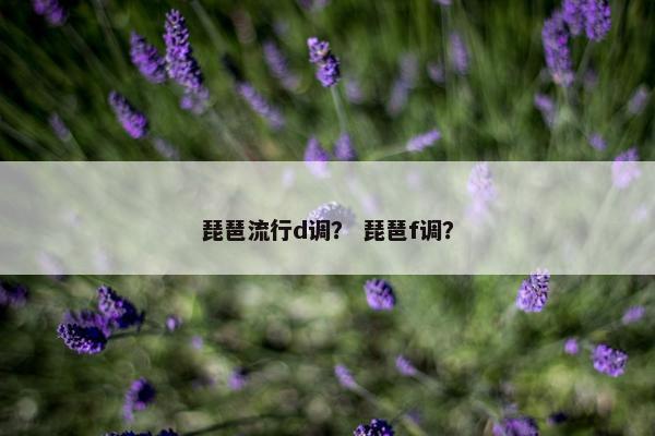 琵琶流行d调？ 琵琶f调？