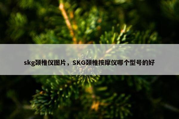 skg颈椎仪图片，SKG颈椎按摩仪哪个型号的好