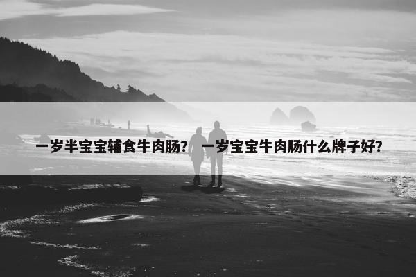 一岁半宝宝辅食牛肉肠？ 一岁宝宝牛肉肠什么牌子好？