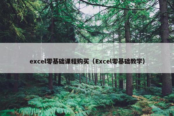 excel零基础课程购买（Excel零基础教学）