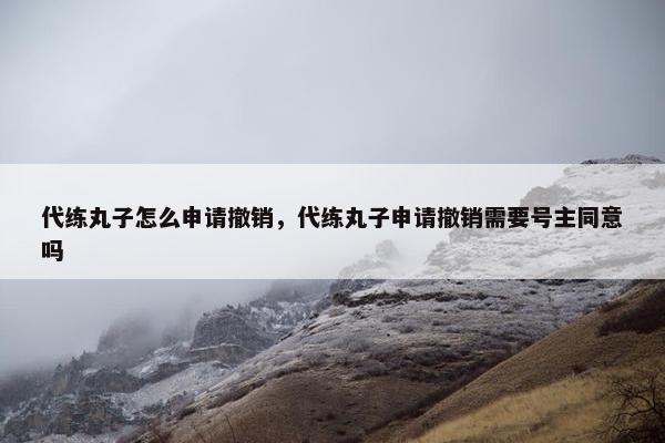 代练丸子怎么申请撤销，代练丸子申请撤销需要号主同意吗