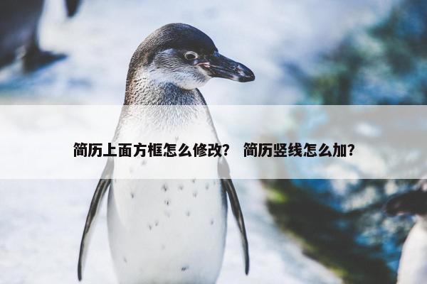 简历上面方框怎么修改？ 简历竖线怎么加？