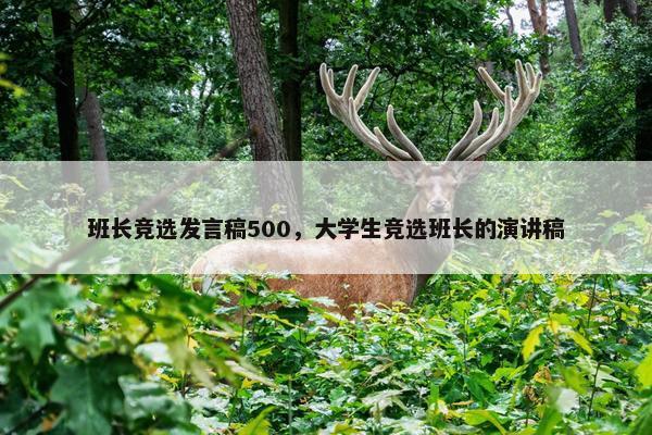 班长竞选发言稿500，大学生竞选班长的演讲稿