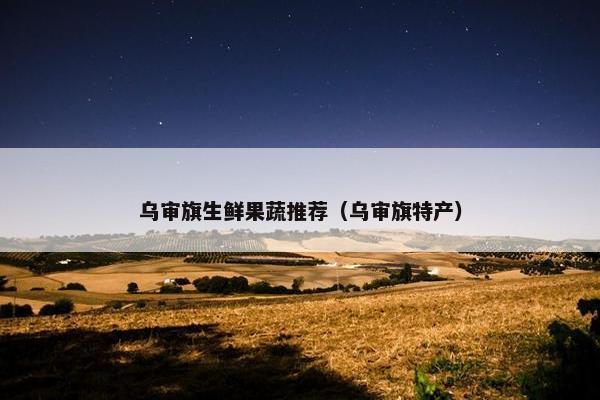乌审旗生鲜果蔬推荐（乌审旗特产）
