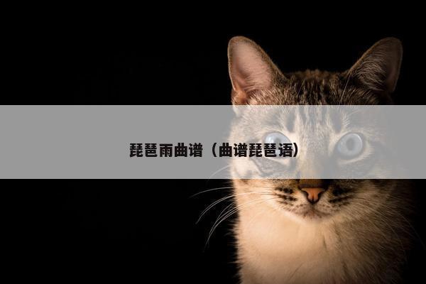 琵琶雨曲谱（曲谱琵琶语）