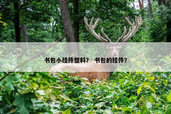 书包小挂件塑料？ 书包的挂件？