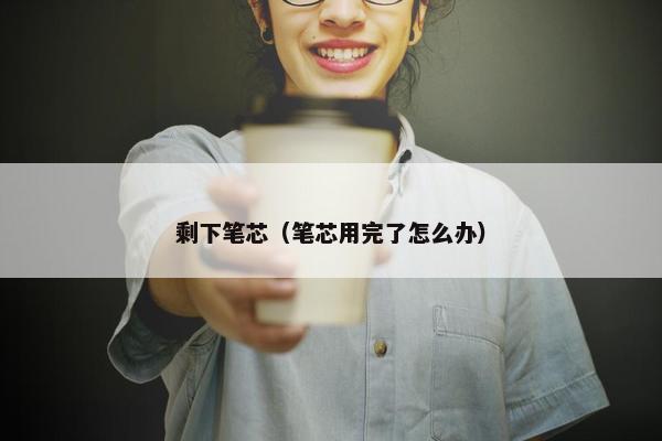 剩下笔芯（笔芯用完了怎么办）