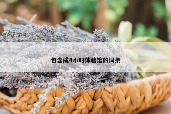 包含成4小时体验馆的词条