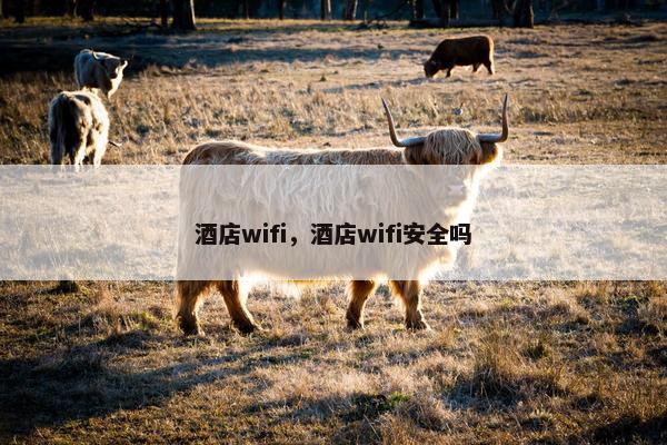 酒店wifi，酒店wifi安全吗