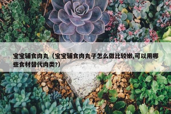 宝宝辅食肉丸（宝宝辅食肉丸子怎么做比较嫩,可以用哪些食材替代肉类?）