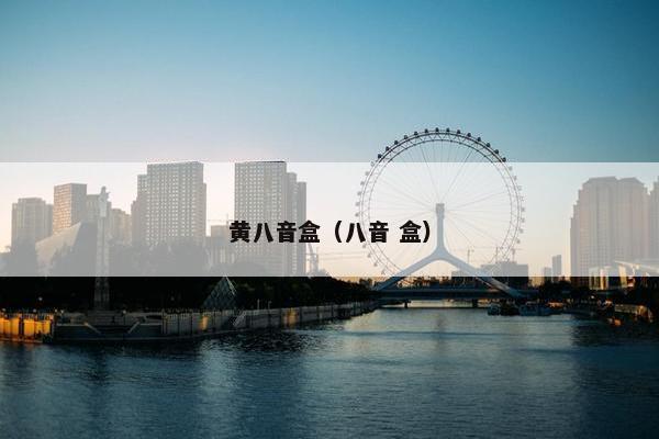 黄八音盒（八音 盒）