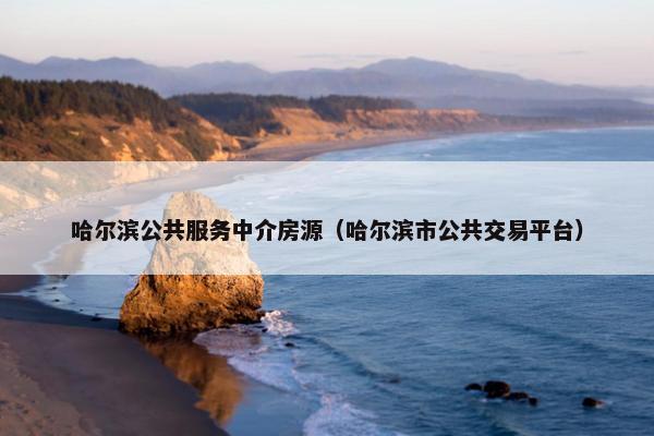 哈尔滨公共服务中介房源（哈尔滨市公共交易平台）