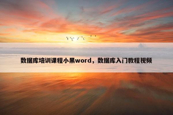 数据库培训课程小黑word，数据库入门教程视频