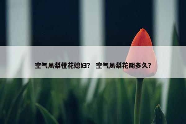 空气凤梨橙花媳妇？ 空气凤梨花期多久？