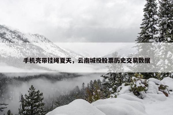 手机壳带挂绳夏天，云南城投股票历史交易数据