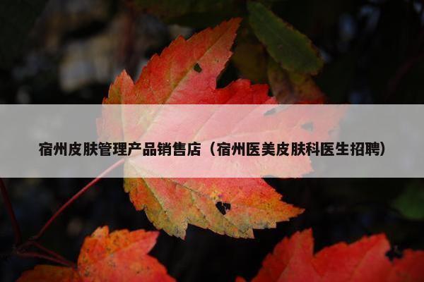 宿州皮肤管理产品销售店（宿州医美皮肤科医生招聘）