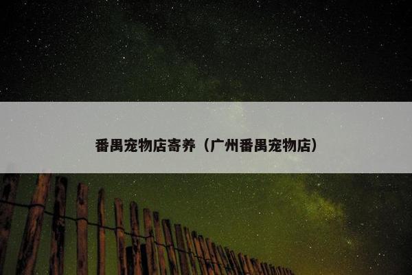 番禺宠物店寄养（广州番禺宠物店）