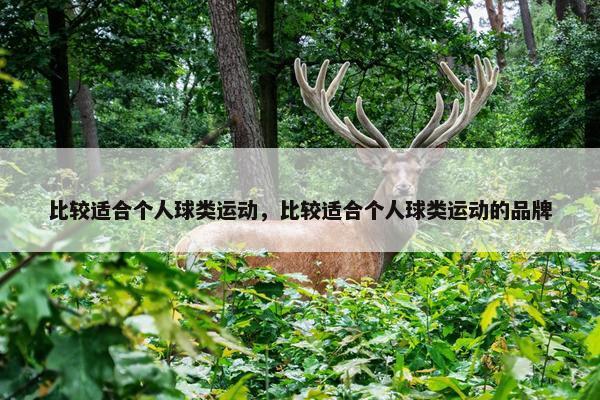 比较适合个人球类运动，比较适合个人球类运动的品牌
