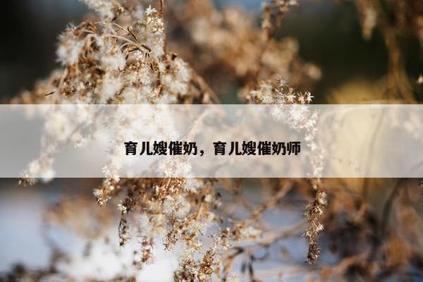 育儿嫂催奶，育儿嫂催奶师