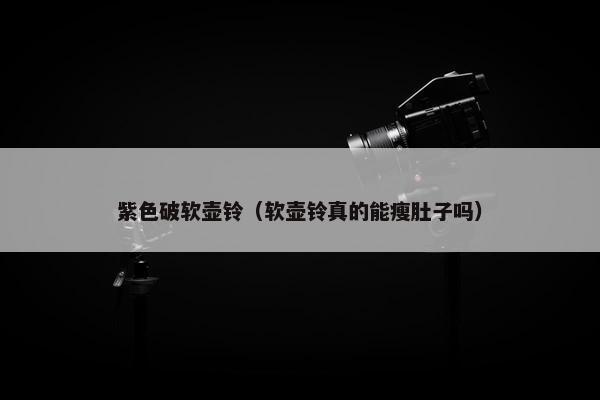 紫色破软壶铃（软壶铃真的能瘦肚子吗）