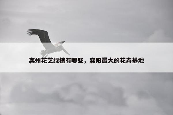 襄州花艺绿植有哪些，襄阳最大的花卉基地