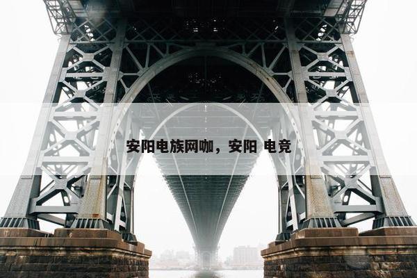 安阳电族网咖，安阳 电竞