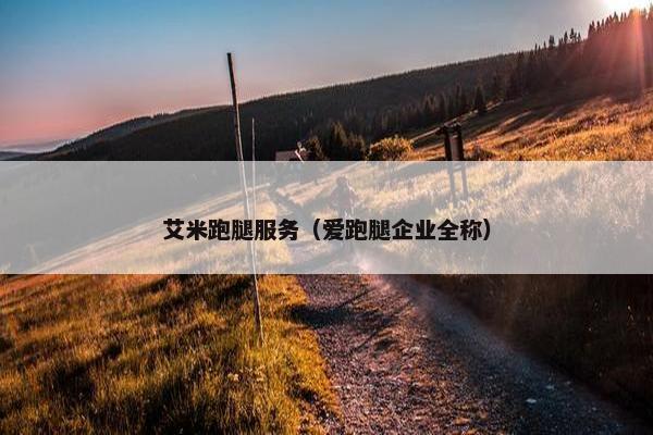 艾米跑腿服务（爱跑腿企业全称）