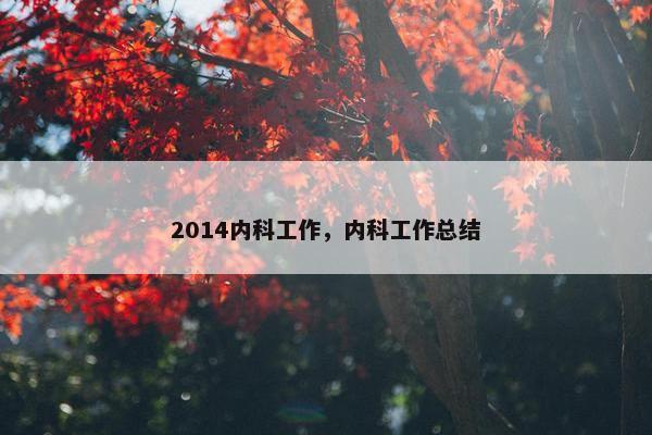 2014内科工作，内科工作总结
