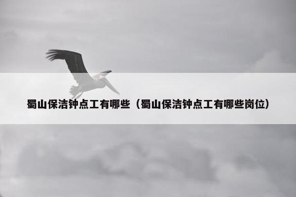 蜀山保洁钟点工有哪些（蜀山保洁钟点工有哪些岗位）