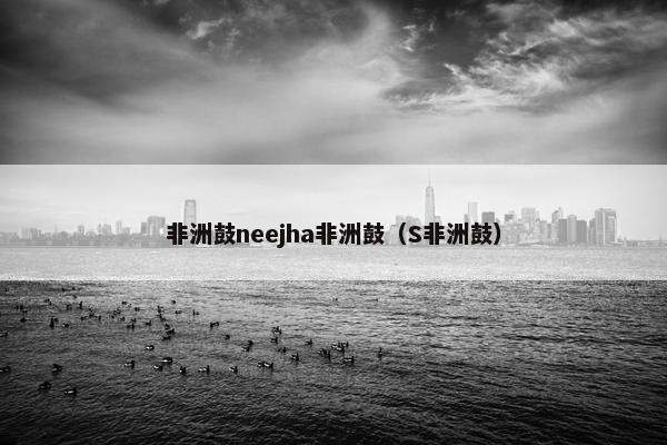 非洲鼓neejha非洲鼓（S非洲鼓）