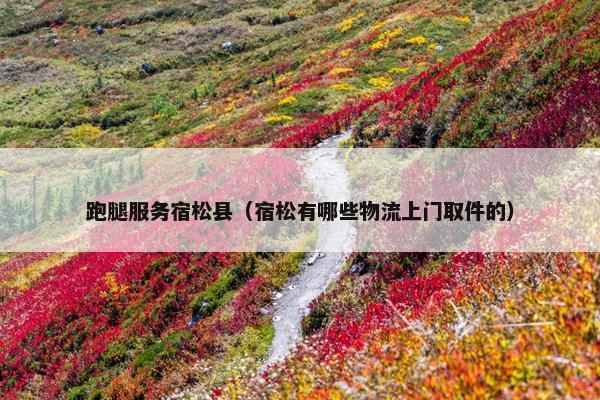 跑腿服务宿松县（宿松有哪些物流上门取件的）