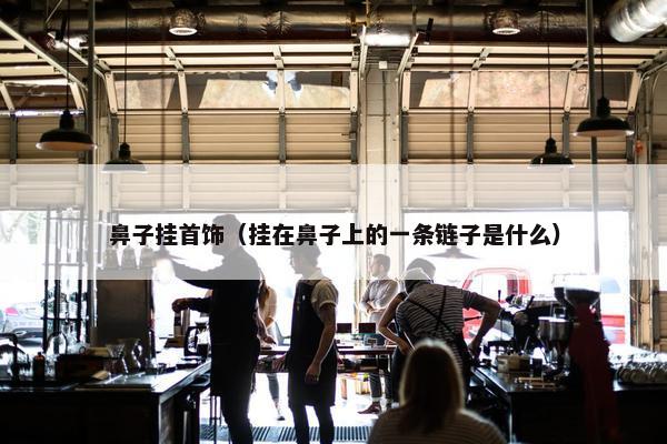 鼻子挂首饰（挂在鼻子上的一条链子是什么）