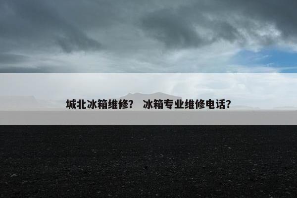 城北冰箱维修？ 冰箱专业维修电话？