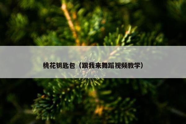 桃花钥匙包（跟我来舞蹈视频教学）