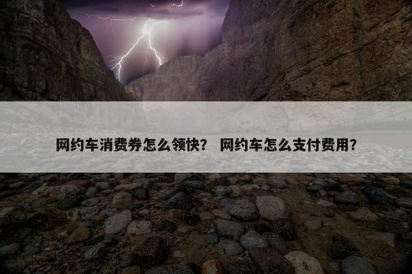 网约车消费券怎么领快？ 网约车怎么支付费用？