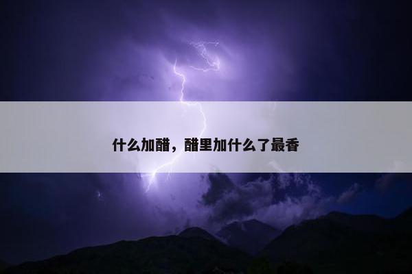 什么加醋，醋里加什么了最香