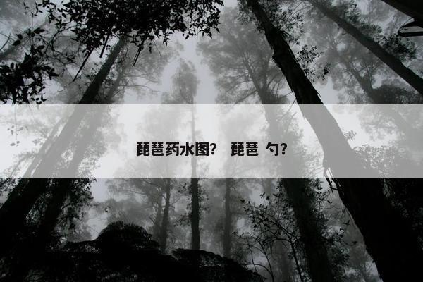 琵琶药水图？ 琵琶 勺？