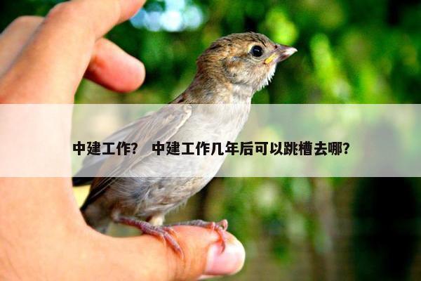 中建工作？ 中建工作几年后可以跳槽去哪？