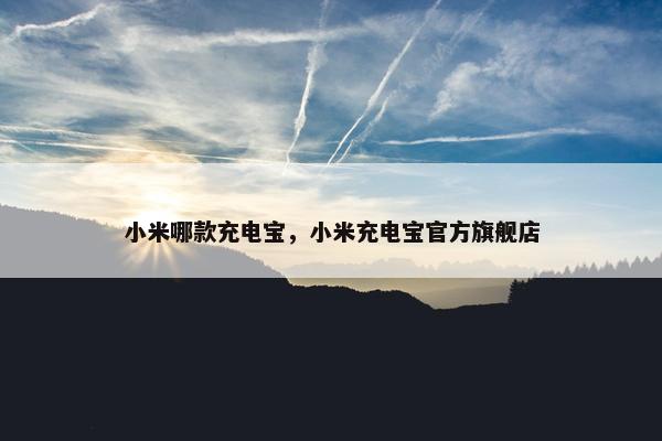 小米哪款充电宝，小米充电宝官方旗舰店