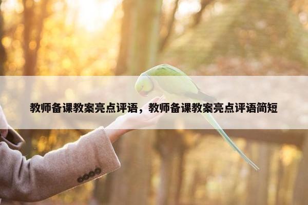 教师备课教案亮点评语，教师备课教案亮点评语简短