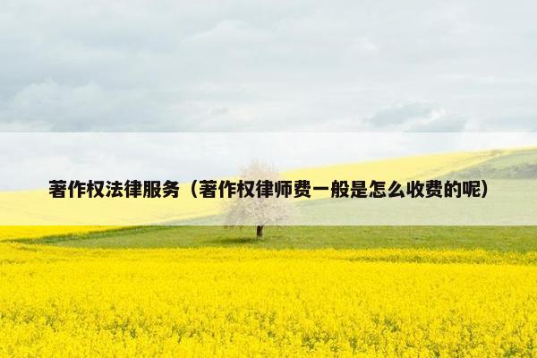 著作权法律服务（著作权律师费一般是怎么收费的呢）